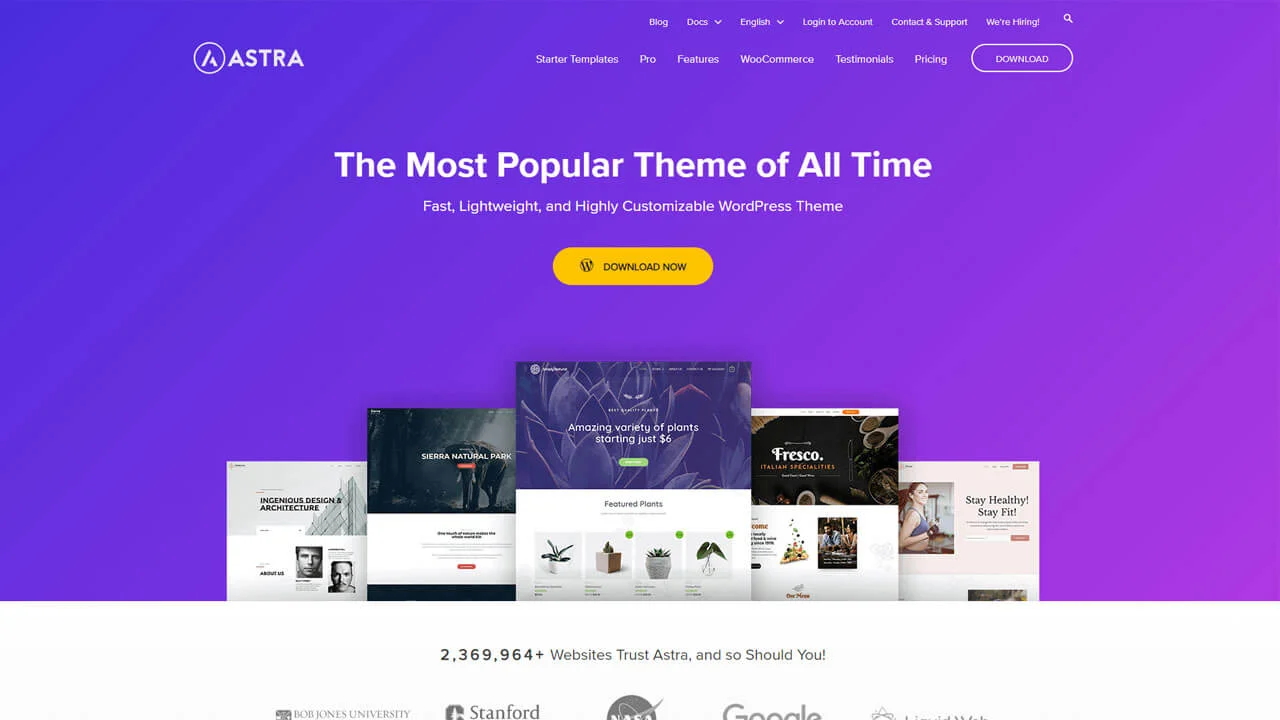 Astra: Best WordPress Business Themes