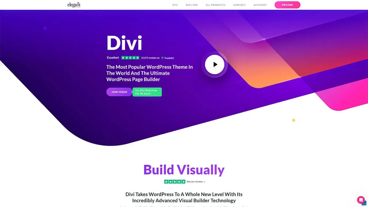 divi theme